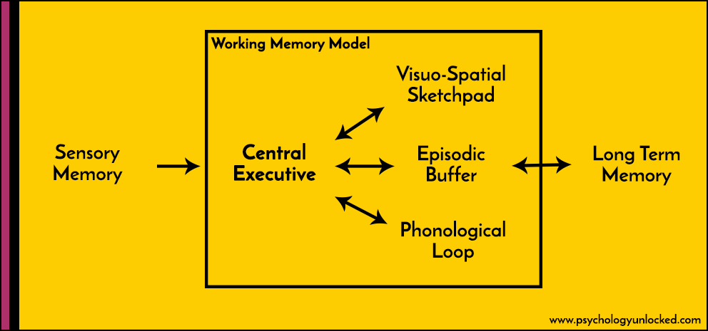 research on the working memory model